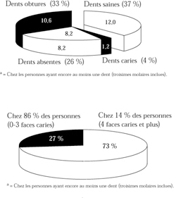 brodeur pie charts fr.jpg (51117 bytes)