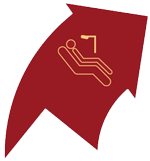 PSS logo