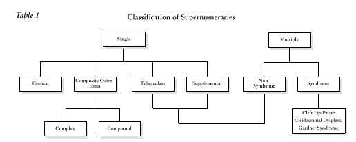 Supernumerary Teeth Numbering Chart